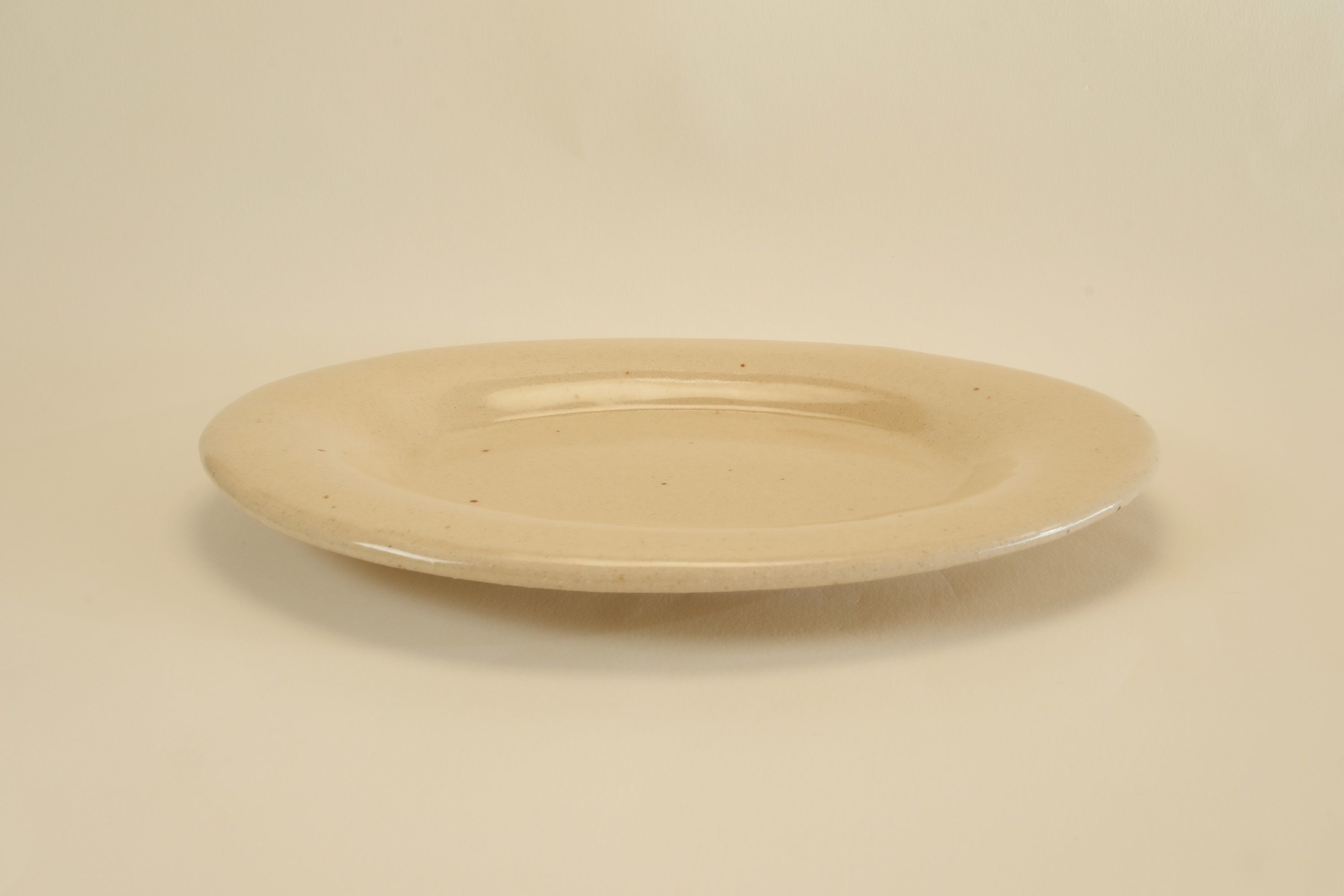Rimmed Oval Plate