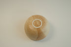 Beige Round Base Cup B