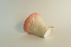 Pink Thorn Cup A