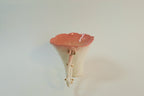 Pink Thorn Cup B