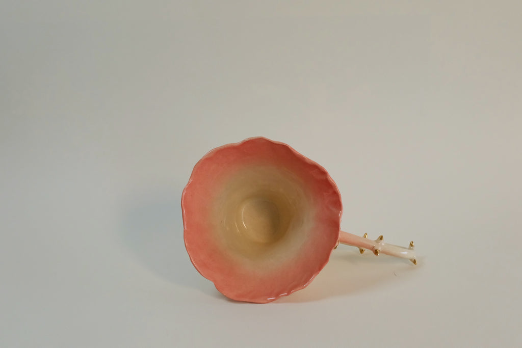 Pink Thorn Cup B