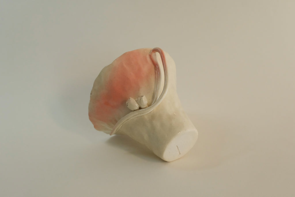 Pink Twin Blossom Ceramic Cup