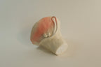 Pink Twin Blossom Ceramic Cup
